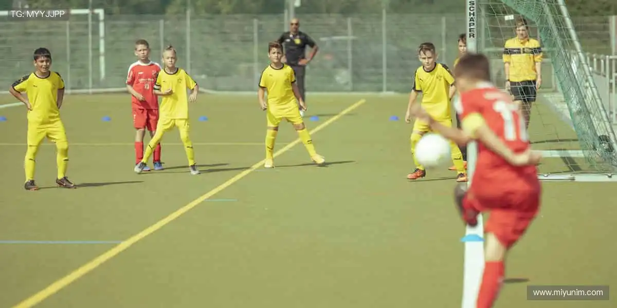 珍藏热爱,从这里开始!🎁🌟